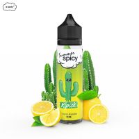 Kipick 50ml - Summer Spicy by E.Tasty