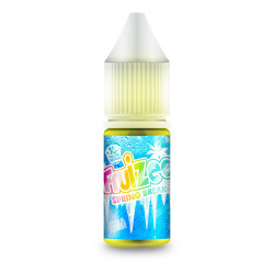 Spring Fresh 10ml - Fruizee by Eliquid France