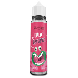 Freeze Druginbus 50ml - Liquideo