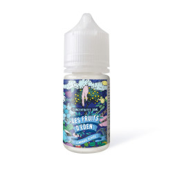 Concentré Limonade Glacée 30ml - Les Fruits d'Eden