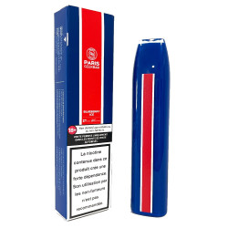 Pod Blueberry Ice 575 puffs 2ml - Geek Bar PSG