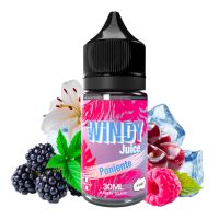 Poniente 30ml - Windy Juice by E.Tasty