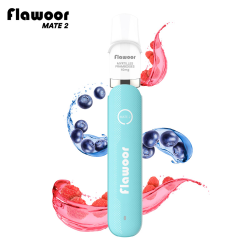 Pod Jetable : Kit Myrtilles Framboises 600 puffs 2ml - Flawoor Mate 2