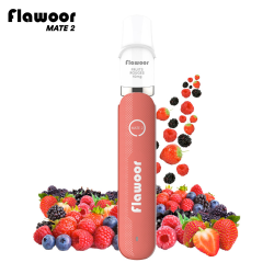 Pod Jetable : Kit Fruits Rouges 600 puffs 2ml - Flawoor Mate 2 