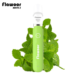 Pod Jetable : Kit Menthol Premium 600 puffs 2ml - Flawoor Mate 2 