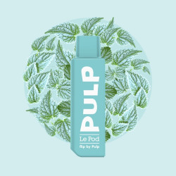 Cartouche Menthe Polaire 2ml - Pod Flip by Pulp