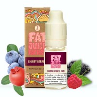 Chubby Berries 10ml - Fat Juice Factory