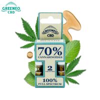 Cartouches Stick Menthe CBD 70% (2pcs) - Greeneo