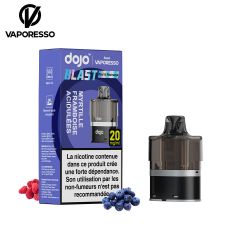 Cartouche Dojo Blast 6000 puffs - Dojo by Vaporesso