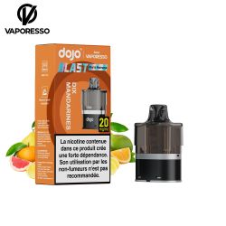 Cartouche Dojo Blast 6000 puffs - Dojo by Vaporesso