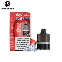 Cartouche Dojo Blast 6000 puffs - Dojo by Vaporesso