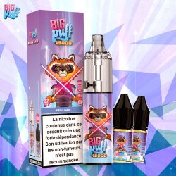Myrtille Glacée 15000 puffs - Big Puff