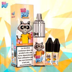 Pêche Givrée 15000 puffs - Big Puff