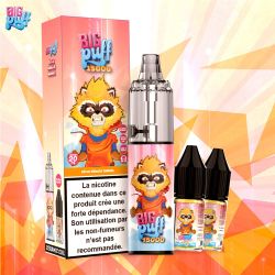 Peche Mangue Ananas 15000 puffs - Big Puff