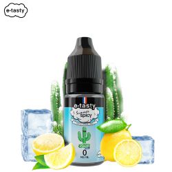 Fresh Kipick 10ml - Summer Spicy by E.Tasty