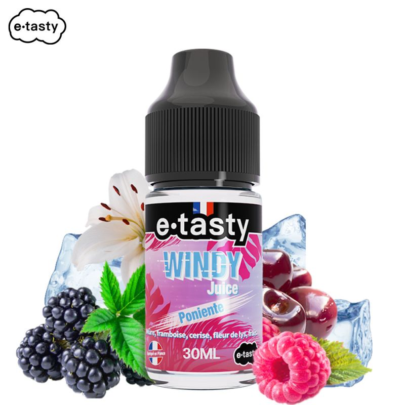 Poniente 30ml- Windy Juice by E.Tasty