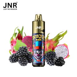 Kit Black Dragon Ice 24000 puffs 2X10ml - Joker by JNR