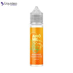 Concentré Mangonade 20ml - Liquideo Longfill