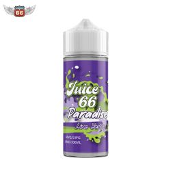 Lime Berry 100ml - Paradise by Juice 66