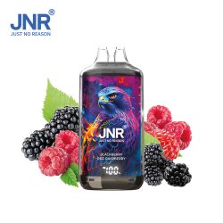 Kit Blackberry Red Raspberry 28000 puffs 2X10ml - Falcon-X by JNR