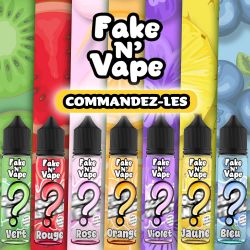 Offre Implantation Fake N Vape 50ml