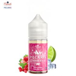 Concentré Berry Mix 30ml - Polaris by Le French Liquide