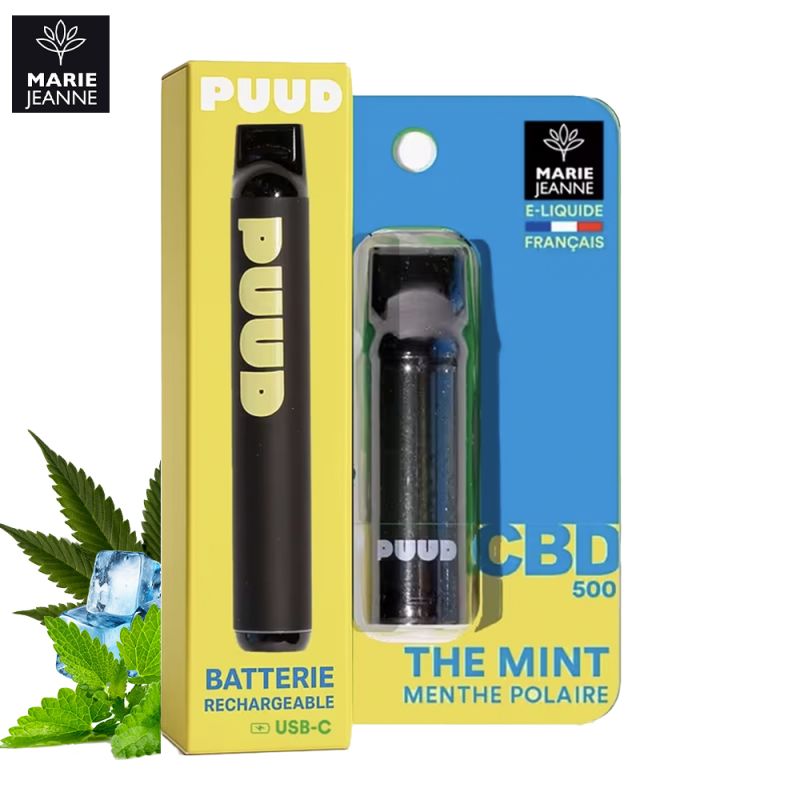 Kit Mint 600 puffs - Puud by Marie Jeanne