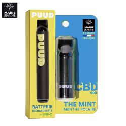 Kit Mint 600 puffs - Puud by Marie Jeanne