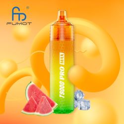 Kit T9000 Pro Max 9000 puffs 10+2ml - T9000 Pro Max by Fumot