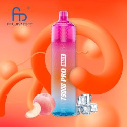 Kit T9000 Pro Max 9000 puffs 10+2ml - T9000 Pro Max by Fumot
