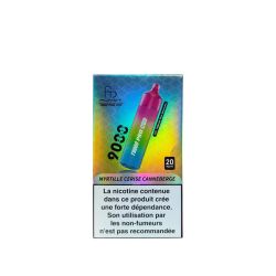 Kit T9000 Pro Max 9000 puffs 10+2ml - T9000 Pro Max by Fumot