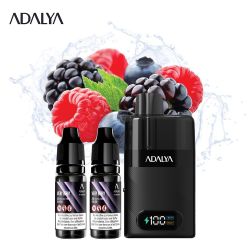 Kit Levo 30 000 puffs 2x10ml - Adalya