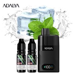Kit Levo 30 000 puffs 2x10ml - Adalya