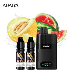 Kit Levo 30 000 puffs 2x10ml - Adalya