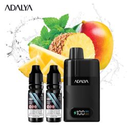 Kit Levo 30 000 puffs 2x10ml - Adalya