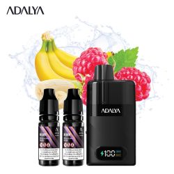 Kit Levo 30 000 puffs 2x10ml - Adalya