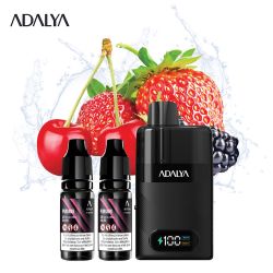 Kit Levo 30 000 puffs 2x10ml - Adalya