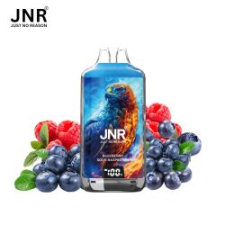 Puff Falcon-X 28K 2X10ml - Falcon-X by JNR