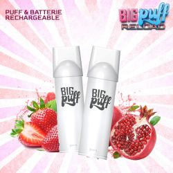 Cartouches Big Puff Reload (2pcs) - Big Puff Reload by Big Puff