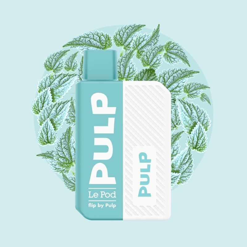 Starter Kit Pod Flip Mentholé 2ml - Pod Flip by Pulp
