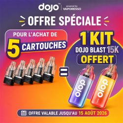 Cartouche Dojo Blast 10ml - Dojo by Vaporesso