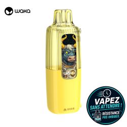 Puff rechargeable Waka Vive - Waka