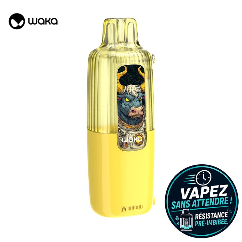 Puff rechargeable Waka Vive - Waka