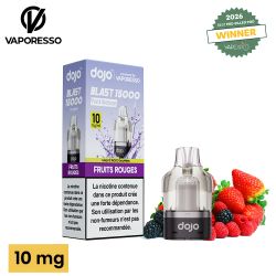 Cartouche Dojo Blast 10ml 10mg - Dojo by Vaporesso