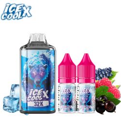 Puff Ice Cool X 32K 2X10ml - Liquidarom