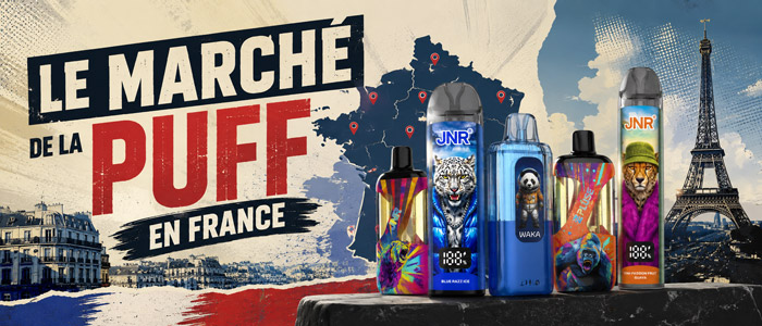 grossiste puff lot france