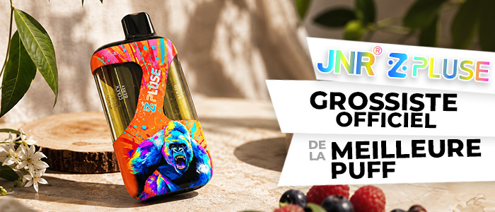 grossiste puff zpluse 42k jnr