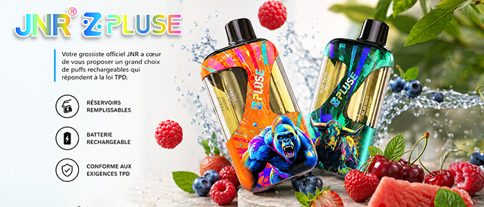 fournisseur puff jnr zpluse 42k