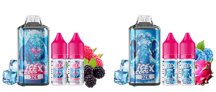fournisseur puff francaise ice cool x 32k