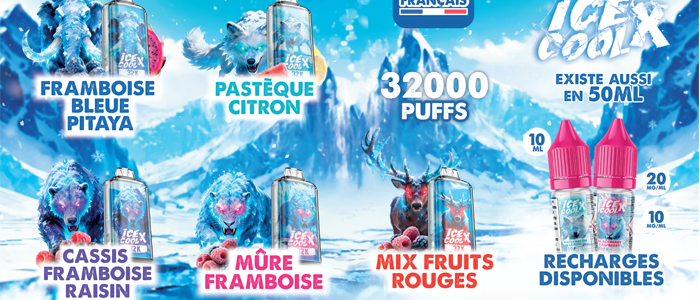 grossiste puff ice cool x liquidarom